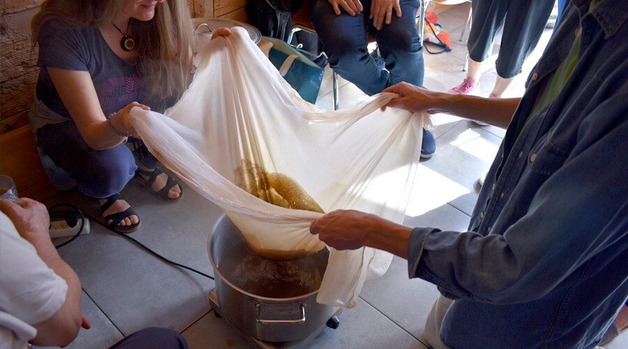 cleansing and rejuvenation in a workshop in jaun, switzerland