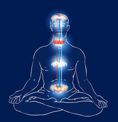 Vajra body